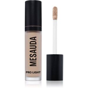 Mesauda Pro Light hydratační korektor odstín W20 4 ml obraz