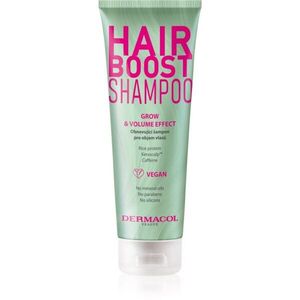 Dermacol Hair Boost Volume obnovující šampon pro objem vlasů 250 ml obraz