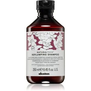 Davines Naturaltech Replumping Shampoo hydratační šampon 250 ml obraz