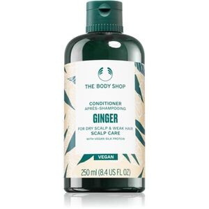 The Body Shop Ginger Conditioner kondicionér pro suchou pokožku 250 ml obraz