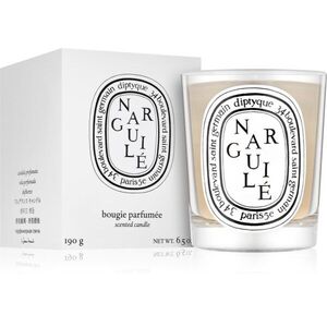 Diptyque Narguile vonná svíčka 190 g obraz