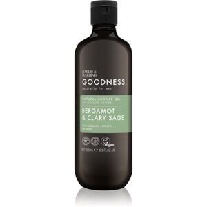 Baylis & Harding Goodness Bergamot & Clary Sage sprchový gel pro muže 500 ml obraz