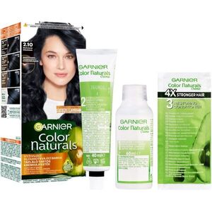 Garnier Color Naturals Creme barva na vlasy odstín 2.10 Blueberry Black 1 ks obraz