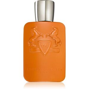 Parfums De Marly Althaïr parfémovaná voda pro muže 125 ml obraz