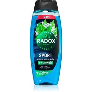 Radox Harmonie sprchový gel pro muže maxi Mint & Sea Salt 450 ml obraz