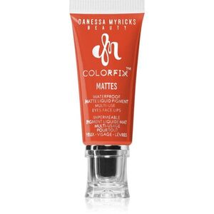 Danessa Myricks Beauty Colorfix Mattes multifunkční líčidlo pro oči, rty a tvář odstín Carrot Cake 10 ml obraz