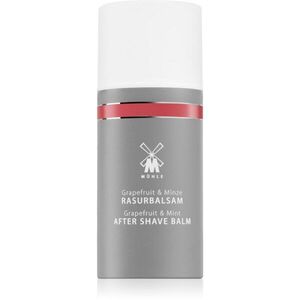 Mühle Aftershave Balm balzám po holení pro muže 100 ml obraz