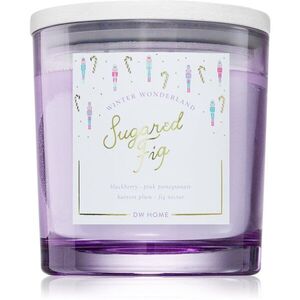 DW Home Winter Wonderland Sugared Fig vonná svíčka 510 g obraz