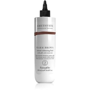 FarmaVita Amethyste Instant Colouring Fluid barvicí maska pro světle blond až středně hnědé vlasy odstín Warm Brown 250 ml obraz