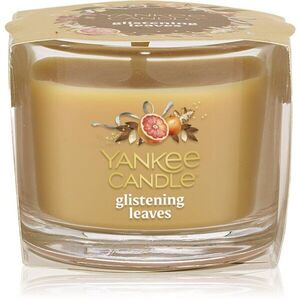 Yankee Candle Glistening Leaves votivní svíčka glass 37 g obraz