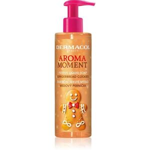Dermacol Aroma Moment Gingerbread Cookies tekuté mýdlo na ruce 250 ml obraz