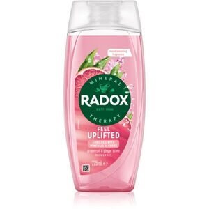 Radox Feel Uplifted sprchový gel 225 ml obraz