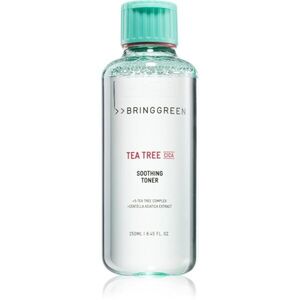 BRINGGREEN Tea Tree Cica Soothing Toner zklidňující tonikum s hydratačním účinkem 250 ml obraz