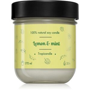 Tropicandle Lemon & Mint vonná svíčka 170 ml obraz