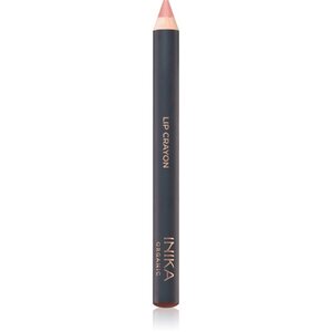 INIKA Organic Lipstick Crayon krémová tužka na rty odstín Mauve 3 g obraz