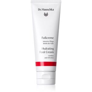 Dr. Hauschka Hand And Foot Care Hydrating Foot Cream hydratační krém na nohy 75 ml obraz