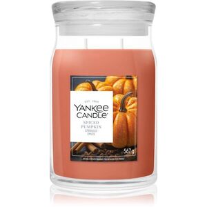 Yankee Candle Spiced Pumpkin vonná svíčka 567 g obraz