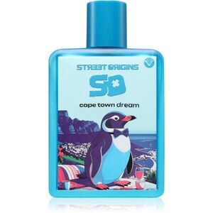 Street Origins Cape Town Dream parfémovaná voda pro muže 75 ml obraz