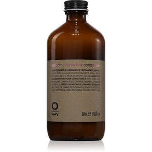 Oway Smooth'n glow Hair Conditioner uhlazující kondicionér pro lesk a hebkost vlasů 240 ml obraz
