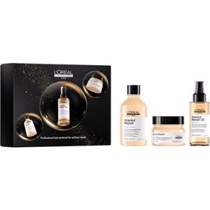 L’Oréal Professionnel Serie Expert Absolut Repair dárková sada s regeneračním účinkem pro suché vlasy obraz
