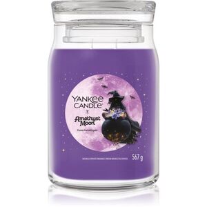 Yankee Candle Amethyst Moon vonná svíčka 567 g obraz