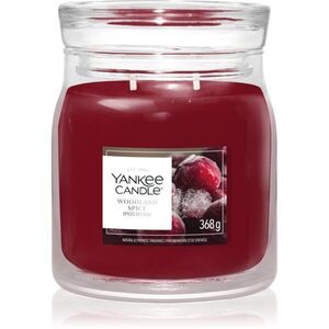 Yankee Candle Woodland Spice vonná svíčka 368 g obraz