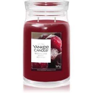 Yankee Candle Woodland Spice vonná svíčka 567 g obraz