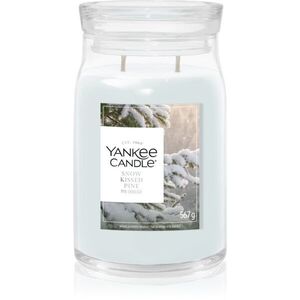 Yankee Candle Snow Kissed Pine vonná svíčka 567 g obraz