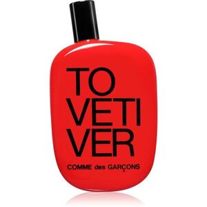 Comme des Garçons To Vetiver parfémovaná voda unisex 100 ml obraz