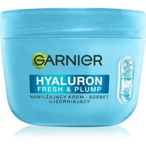 Garnier Hyaluron Fresh & Plump sorbet krém s hydratačním účinkem 85 ml obraz