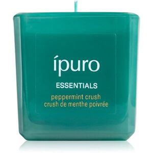 ípuro Essentials Season of Treats Peppermint Crush vonná svíčka 125 g obraz