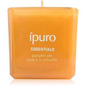 ípuro Essentials Season of Treats Pumpkin Pie vonná svíčka 125 g obraz