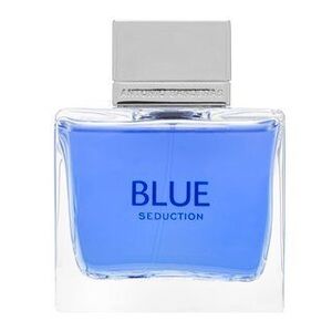 Antonio Banderas Blue Seduction toaletní voda pro muže 100 ml obraz