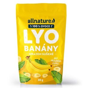 ALLNATURE Banán sušený mrazem 30 g obraz