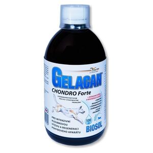 GELACAN Chondro forte biosol 500 ml obraz