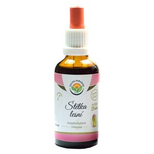 SALVIA PARADISE Štětka lesní tinktura 50 ml obraz