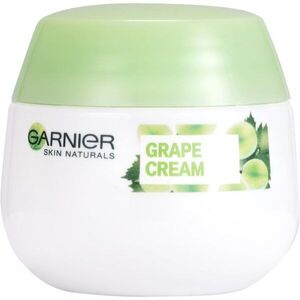 Garnier Botanical hydratační krém pro normální až smíšenou pleť 50 ml obraz