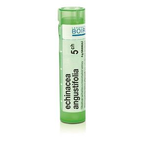 Boiron ECHINACEA ANGUSTIFOLIA CH5 granule 4 g obraz
