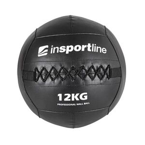 inSPORTline Posilovací míč Walbal SE 12 kg obraz