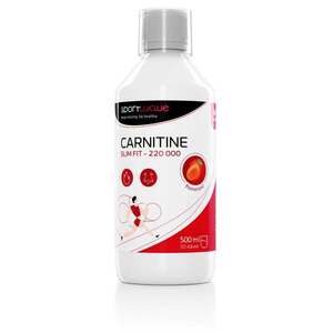 Sport Wave Karnitin - Carnitine 220 000 SW013 obraz