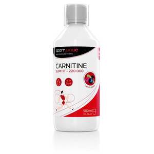 Sport Wave Karnitin - Carnitine 220 000 SW014 obraz