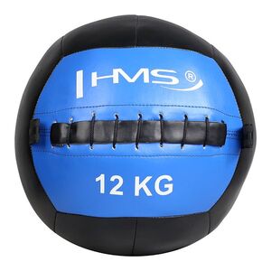 HMS Wall ball WLB 12 kg obraz