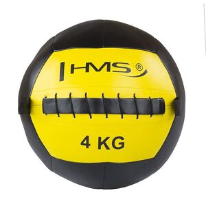 HMS Wall ball WLB 4 kg obraz