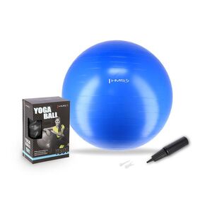 HMS Gymnastický míč YB01N 55 cm modrý obraz