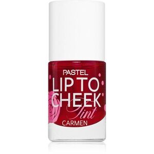 Pastel Lip To Cheek Tint tekutá tvářenka na rty a tváře odstín 01 Carmen 9.6 ml obraz