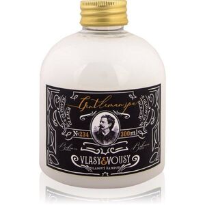 Bohemia Gifts Gentleman Spa šampon na vlasy a vousy 300 ml obraz
