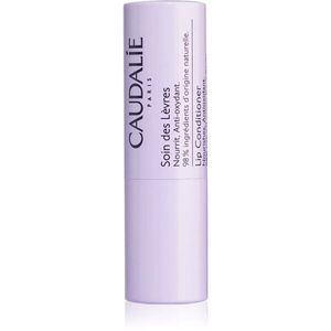 Caudalie Vinotherapist Lip Conditioner hydratační balzám na rty 4.5 g obraz