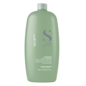 Alfaparf Milano Energizing Low Shampoo posilňujicí šampon proti vypadávání vlasů 1000 ml obraz