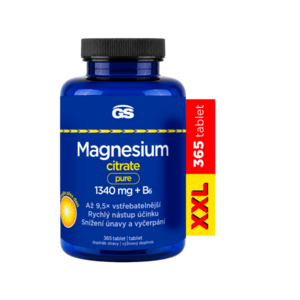 GS Magnesium citrát pure 1340 mg + B6 XXL 365 tablet obraz