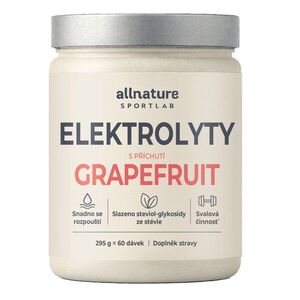 Allnature Sportlab Elektrolyty grapefruit 295 g obraz
